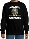 Bellatio Decorations Amazing Wild Animals Sweater Wolf - Zwart - Kinderen - Maat 98/104