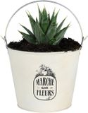 Sunnydays Emmer/plantenpot/bloempot - zink - ivoorwit - D24 x H19 cm
