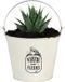 Sunnydays Emmer/plantenpot/bloempot - zink - ivoorwit - D24 x H19 cm