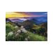 Dino Puzzel Mala Fatra - 500 pièces
