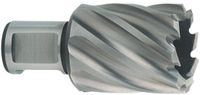 Metabo Kernboor, diameter 29 mm