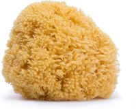 Suavinex Natural Sponge for Bath