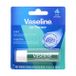 Vaseline Stick Lèvres Thérapie Menthe 4.8g