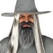 Fiestas Guirca Baard en Snor Grijs