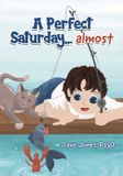 A Libri GmbH A Perfect Saturday.., almost Paperback