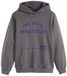Levi's Two Horse Cropped Hoodie