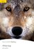 LEVEL White Fang Book and MP3 Pack