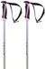 Volkl Phantastick Polen Argent 120 cm Femme