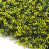 TENAX Divy 3D Buxus Kunstheg 0,5 x 1 m Lichtgroen