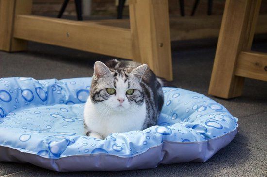 Nobby Cooling Donut Bubble 66 cm - Hond - blauw