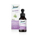 Increase Liposomale monnikspijper druppels, hoge dosering - (6000 mg monnikspijper per verpakking), 200 mg monnikspijper per dagelijkse dosis - MCT-olie - Hoge biologische beschikbaarheid