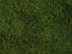 Noch Gras Mat Wild, vert gazon
