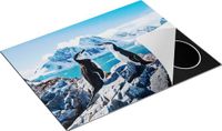 Chefcare Inductie Beschermer Twee Pinguïns op Stenen in Antarctica - 77x59 cm - Multicolor
