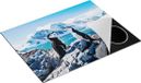 Chefcare Inductie Beschermer Twee Pinguïns op Stenen in Antarctica - 77x59 cm - Multicolor