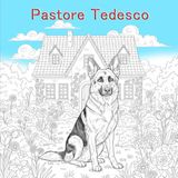 Pastore Tedesco: Un bellissimo libro da colorare per gli amanti dei cani
