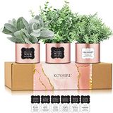 KOYAIRE 3 motiverende faux bureauplanten voor kantoor - roségoud kantoordecoratie voor vrouwen - klein bureau en thuiskantooraccessoires - bureaudecoraties voor vrouwen kantoor - roze