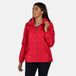 Regatta - Women's Lilibeth Lightweight Waterproof Jacket - Roze - Maat 40