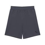Puma Tad Essentia 8'' Knit Short Galactic Gray