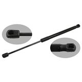 FEBI BILSTEIN 34410 Gasveer voor achterklep