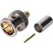 Hicon BNC0.8/3.7HD BNC-connecteur prise, droit 75 Ω 1 pièce(s)