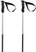 Völkl Volkl Phantastick III Ski Poles Silver 110 cm
