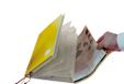 TimeTEX - Opsteekmap voor schoolplanner A4-Plus, waaiermap A4 voor het opbergen en organiseren van documenten voor schoolplanner, transparant