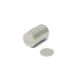 Magneet Expert® 6mm dia x 0,5 mm dik N42 Neodymium magneet - 0,2 kg Trek (Pack van 500)