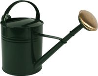 Talen Tools Gieter 10L metaal groen