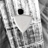 ChickenPicks Bermuda IIIP 1-BEP-21 Gitaarpick 2.1mm Thermosettings Kunststof Duurzaam