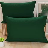 PETTI Artigiani Italiani - Paar kussenslopen 50 x 70 cm van microvezel, decoratief kussen voor slaapkamer bank set van 2 kussenslopen, effen, groen, 100% Made in Italy