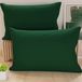 PETTI Artigiani Italiani - Paar kussenslopen 50 x 70 cm van microvezel, decoratief kussen voor slaapkamer bank set van 2 kussenslopen, effen, groen, 100% Made in Italy