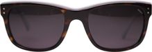 Mexx Sonnenbrille Modell 6331-300, Grau & Havanna, Größe 55/19, Bügellänge 145 mm