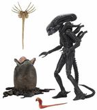 Neca Alien: Ultimate 40th Anniversary Big Chap 7 inch Action Figure
