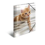 HERMA 19328 verzamelmap DIN A4 dieren katten, 3-delige set, stevige kunststof, opbergmap met hoogglans-effect, bedrukte binnenkleppen en elastiek, documentenmap voor kinderen, jongens en meisjes