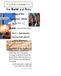 The Bold and Holy Magazine