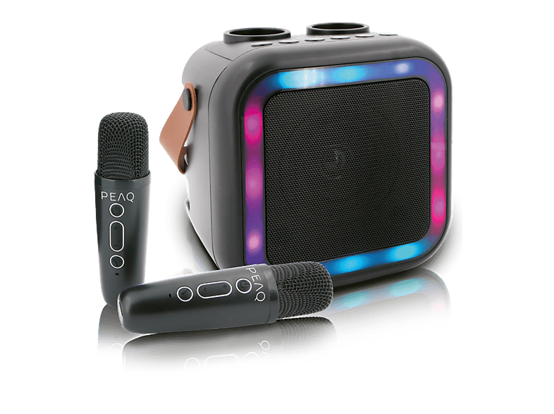 Peaq Pkm-100 Karaoke Machine Zwart