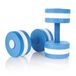 Speedo Dumbbells Blauw