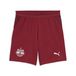 PUMA Short 26/27 FC Rouge Bull Salzburg Enfant et Adolescent, Accessoires, 7-8Y