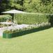 Maison Exclusive - Jardinière surélevée, acier galvanisé, 620x80x36 cm, vert