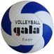 Gala Volleybalbal Gala Easy Bp5083s