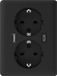2USB - Dubbel USB Stopcontact Inbouw 10mm Zwart