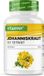 Vit4ever Sint-janskruid - 240 Capsules met 500 mg Extract gemaakt uit 5000 mg Zuiver Sint-Janskruid - Natuurlijk 10:1 Extract - Hooggedoseerd - Vegan