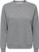 JDY Sweatshirt JDYPRIMA Sweatshirt