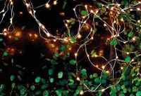 Sirius Home Knirke Lichterkette 200 LED 4,8 W Grün, Transparent