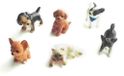 Merkloos Miniatuur Kat en Hond Poppenhuis Decoratie Set van 6