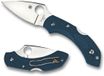 Spyderco Dragonfly 2 K390 C28FP2K390 zakmes