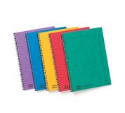 Clairefontaine 4859Z - Schrift met Spiraalbinding Notemakers Europa - A4 21x29,7 cm - 120 Afscheurbare Pagina's Kleine Ruitjes - Wit Papier 90 g - Omslag Glanskarton - Willekeurige Kleuren