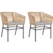Chaises de jardin lot de 2 chaises d'extérieur et coussins marron rotin