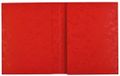 Exacompta 80x Schriftomslag in glanskarton 265g - 24x32 cm - Rood - 35125E