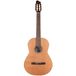 Godin Concert guitare classique